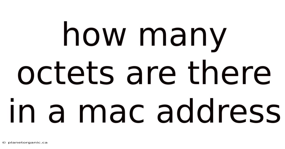 How Many Octets Are There In A Mac Address