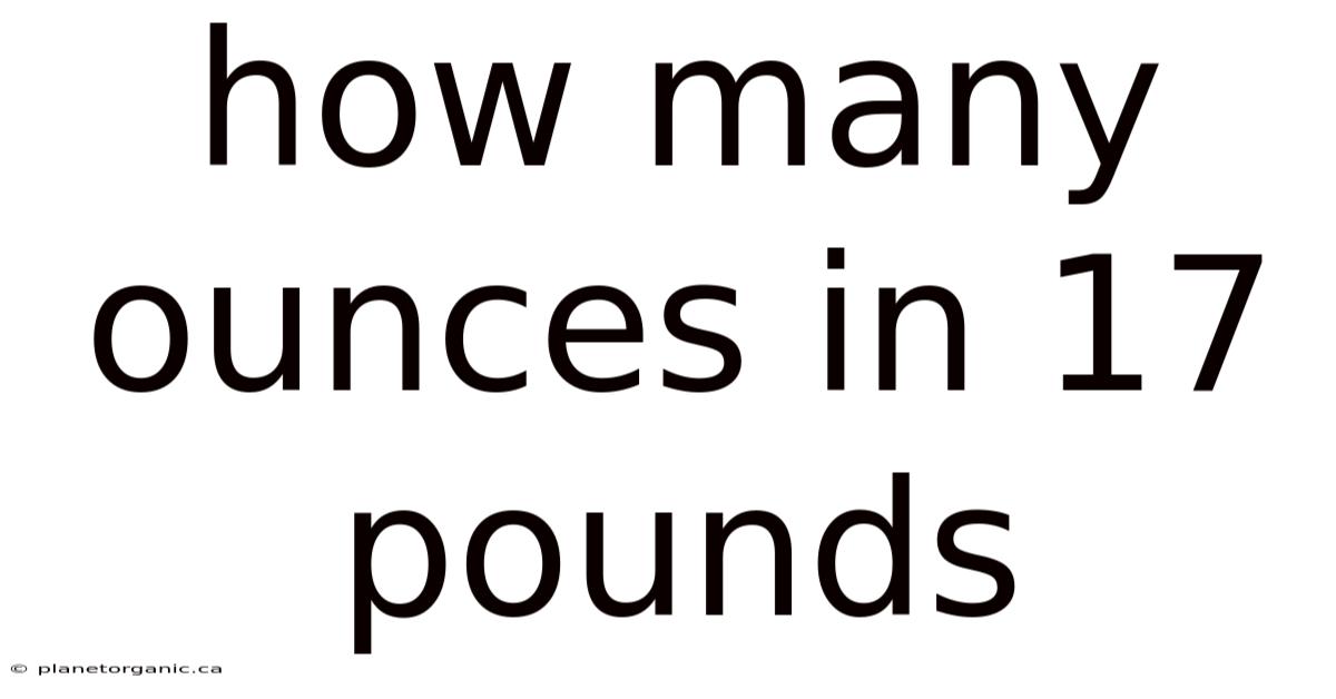 How Many Ounces In 17 Pounds