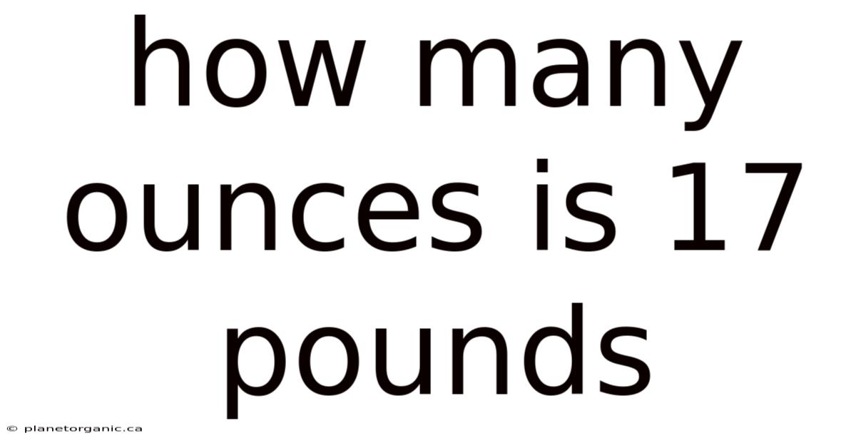 How Many Ounces Is 17 Pounds