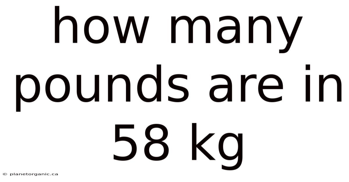 How Many Pounds Are In 58 Kg