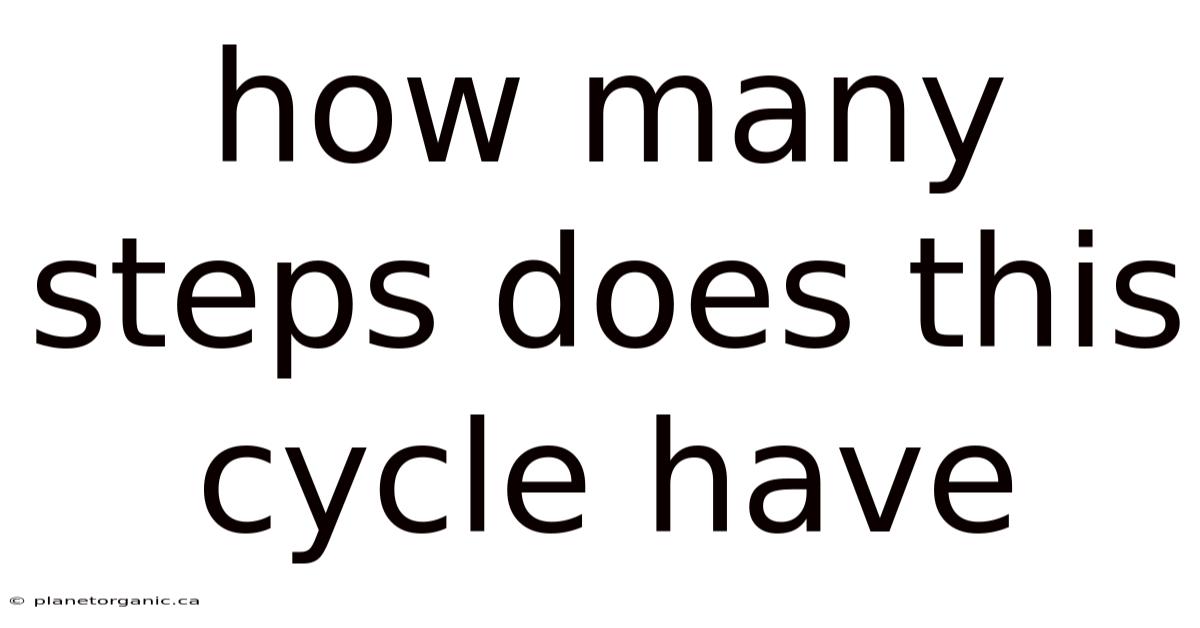 How Many Steps Does This Cycle Have