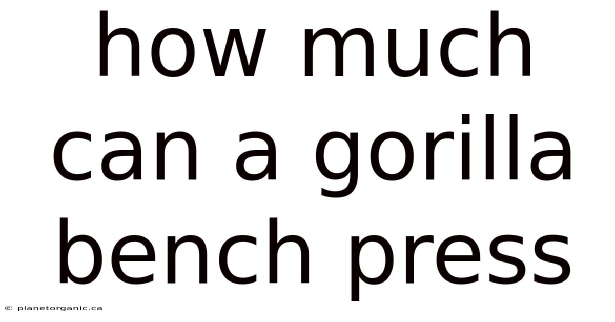 How Much Can A Gorilla Bench Press