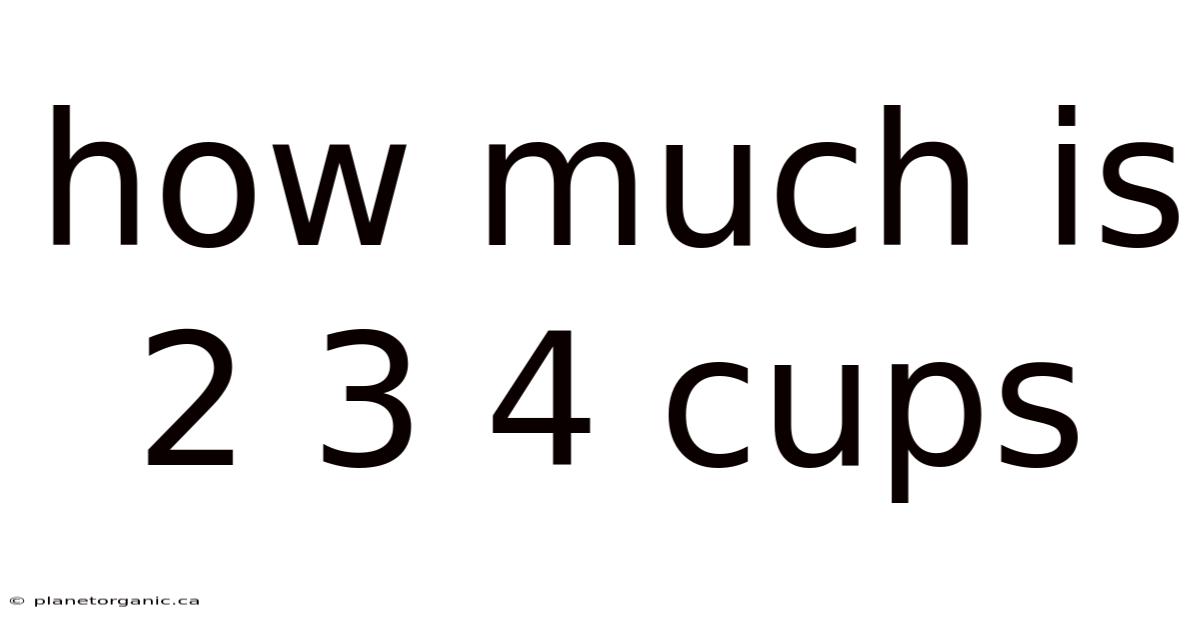 How Much Is 2 3 4 Cups