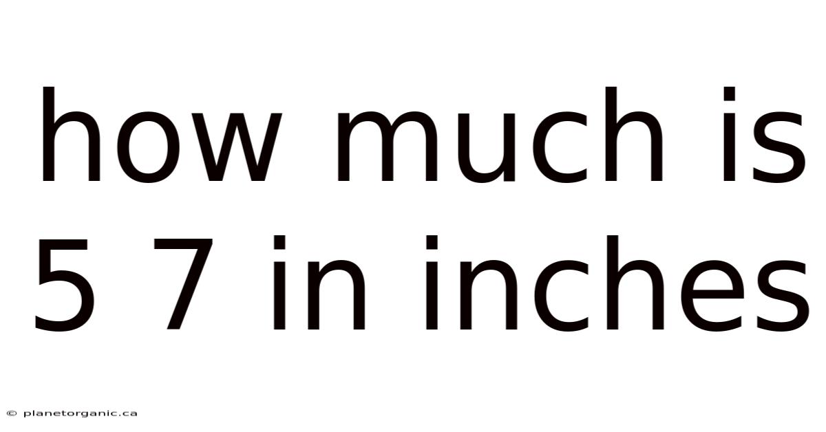 How Much Is 5 7 In Inches