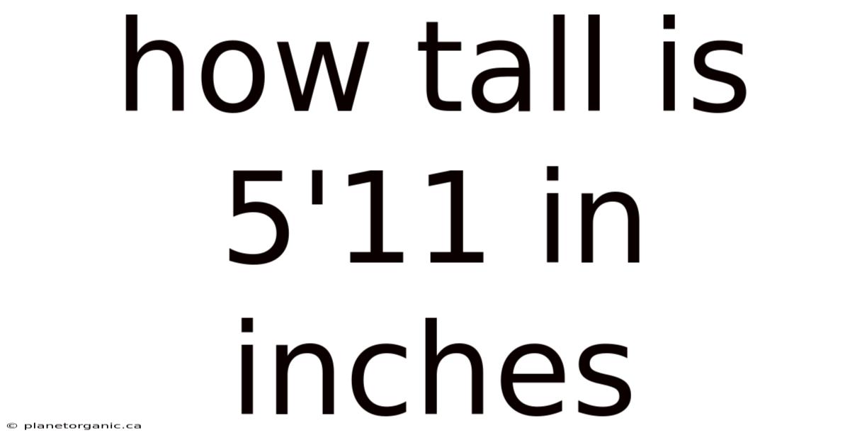 How Tall Is 5'11 In Inches
