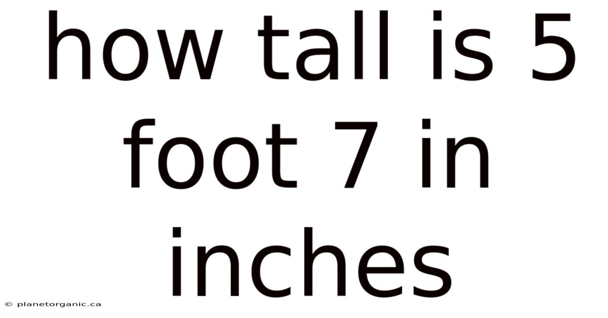 How Tall Is 5 Foot 7 In Inches