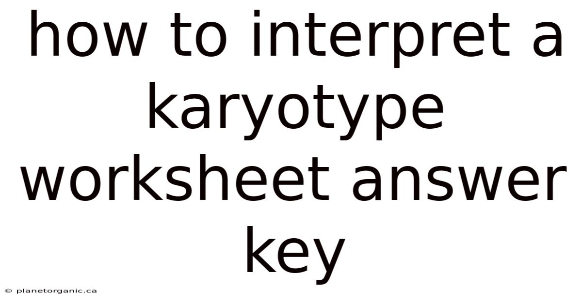How To Interpret A Karyotype Worksheet Answer Key
