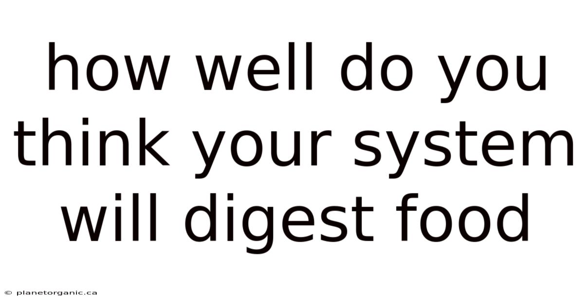 How Well Do You Think Your System Will Digest Food