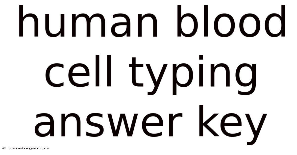 Human Blood Cell Typing Answer Key