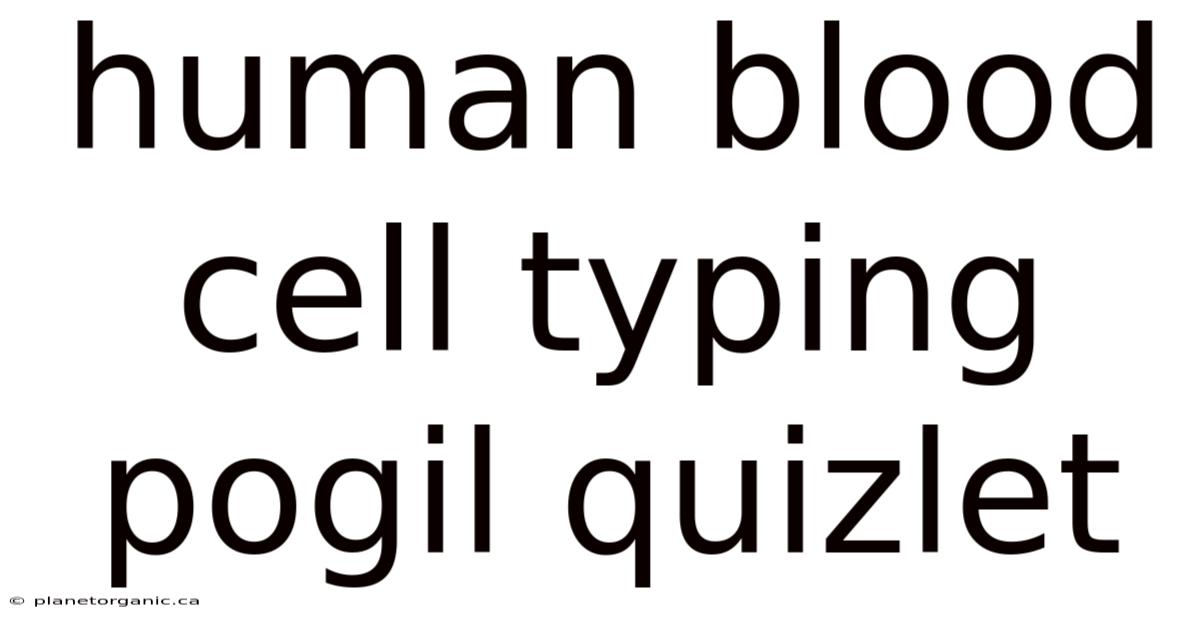 Human Blood Cell Typing Pogil Quizlet