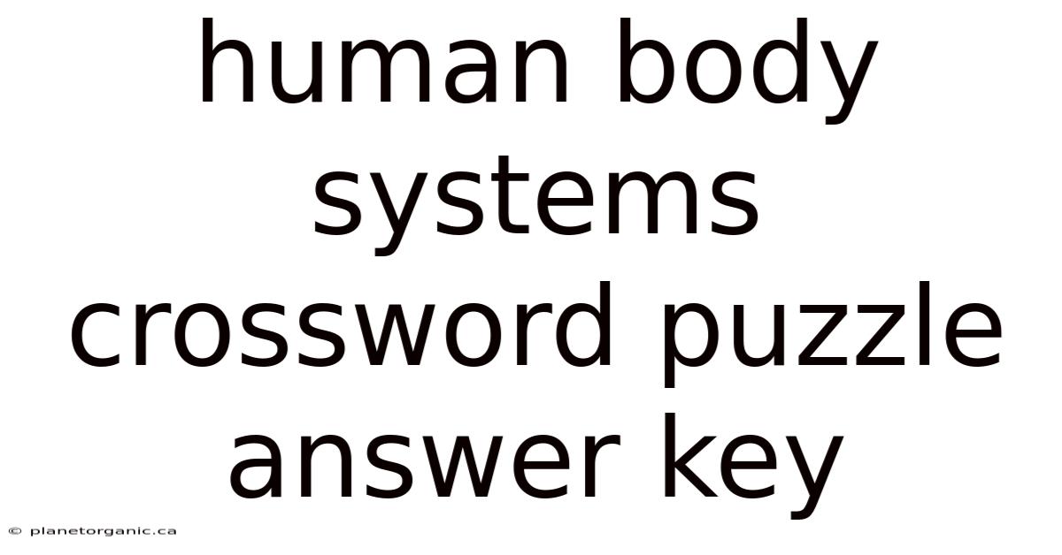 Human Body Systems Crossword Puzzle Answer Key