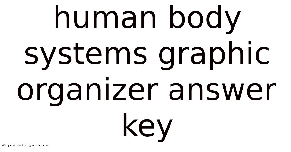 Human Body Systems Graphic Organizer Answer Key