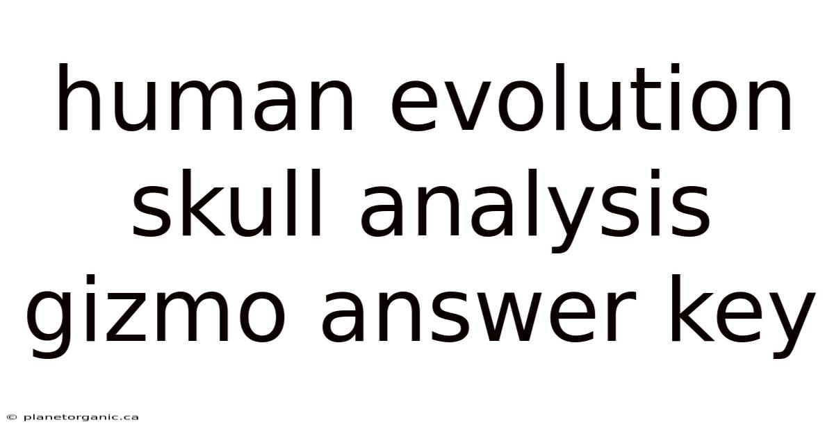 Human Evolution Skull Analysis Gizmo Answer Key