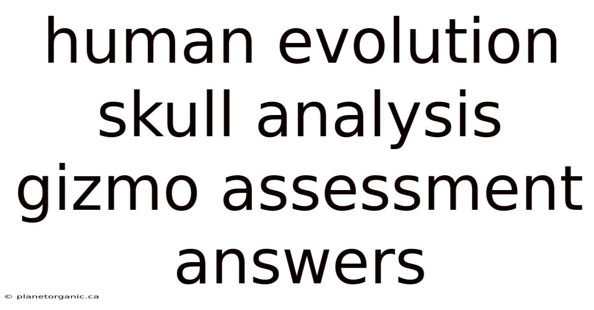 Human Evolution Skull Analysis Gizmo Assessment Answers