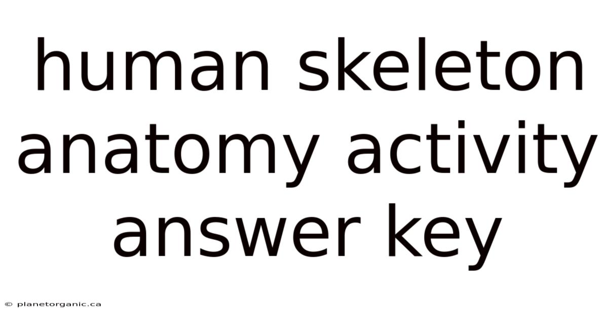 Human Skeleton Anatomy Activity Answer Key