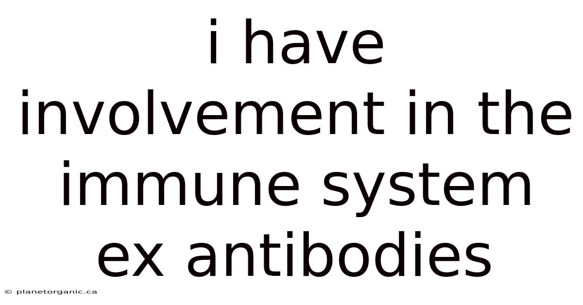 I Have Involvement In The Immune System Ex Antibodies