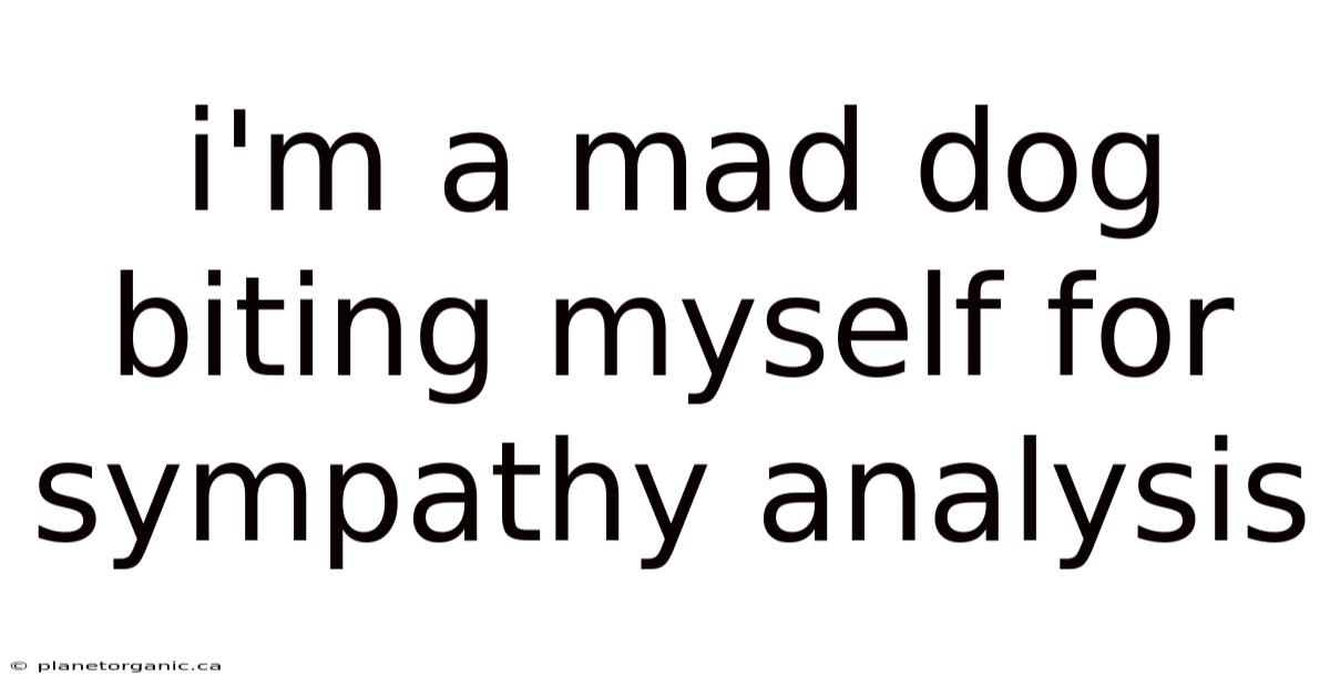 I'm A Mad Dog Biting Myself For Sympathy Analysis