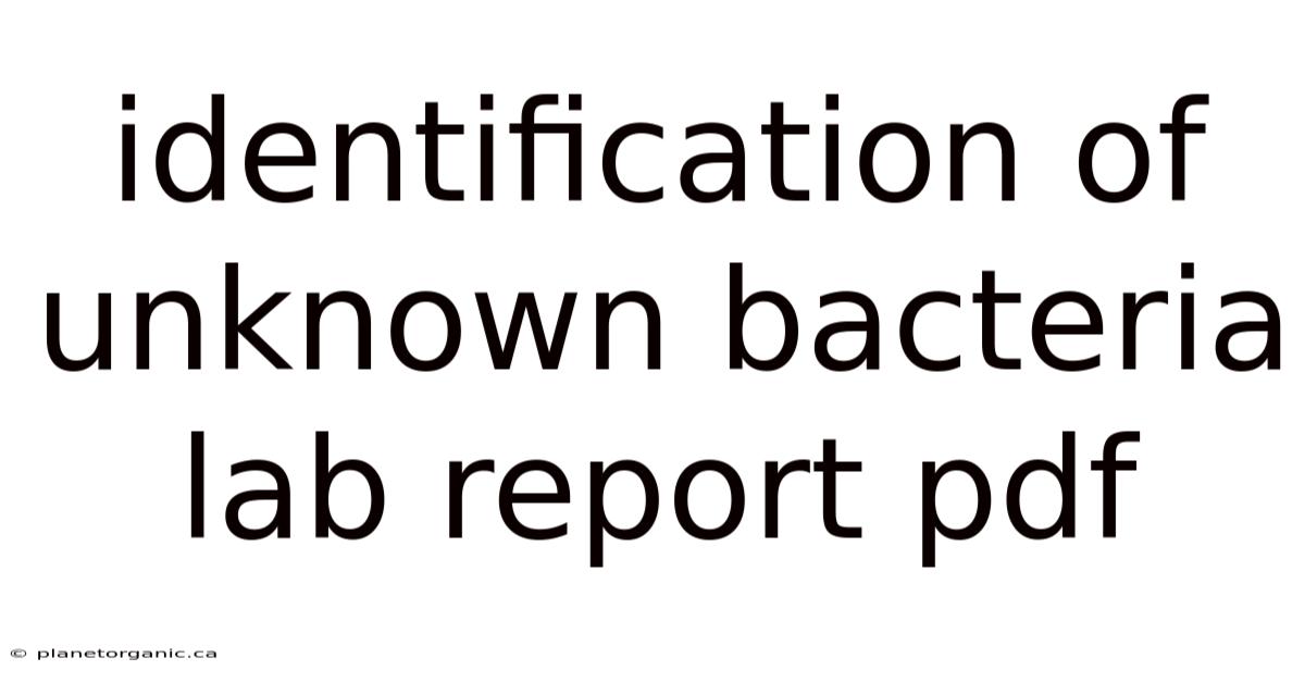 Identification Of Unknown Bacteria Lab Report Pdf