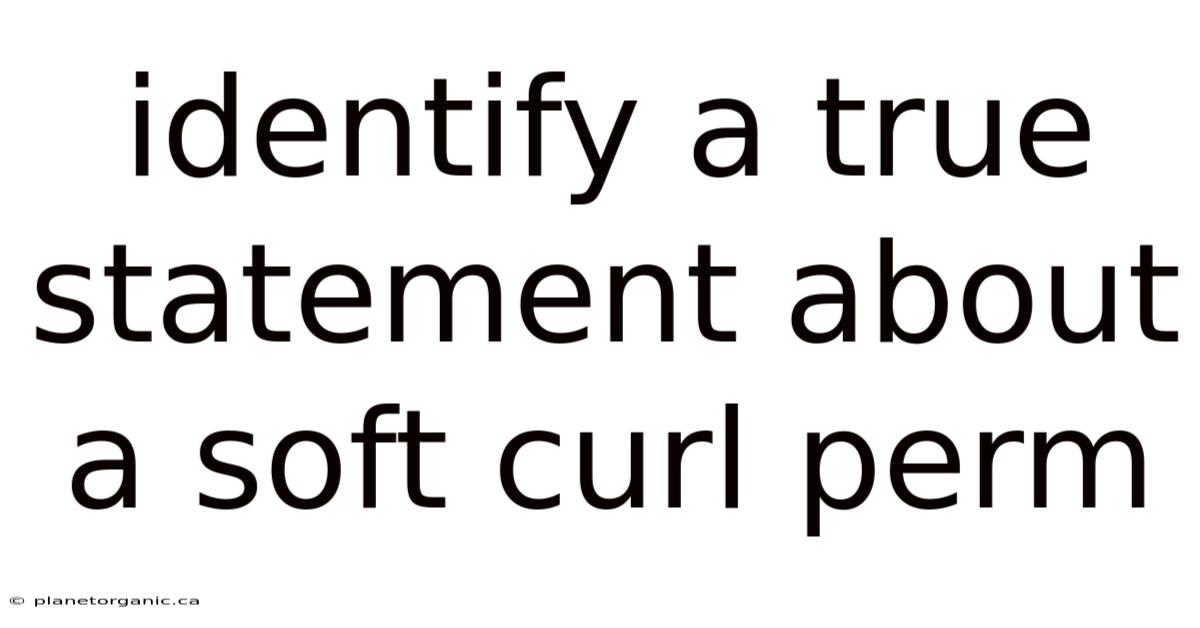 Identify A True Statement About A Soft Curl Perm