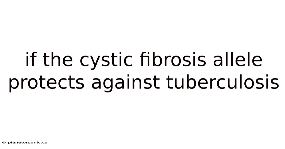 If The Cystic Fibrosis Allele Protects Against Tuberculosis