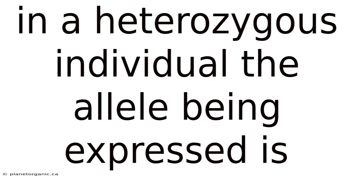 In A Heterozygous Individual The Allele Being Expressed Is