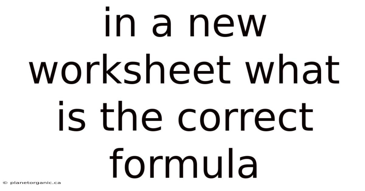 In A New Worksheet What Is The Correct Formula