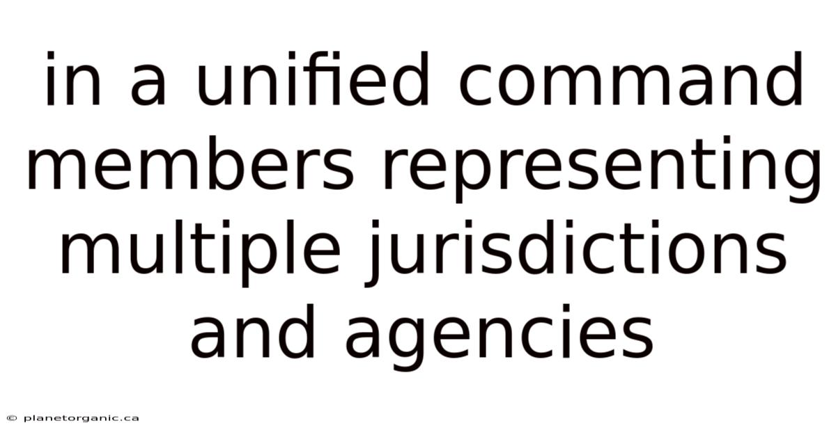 In A Unified Command Members Representing Multiple Jurisdictions And Agencies