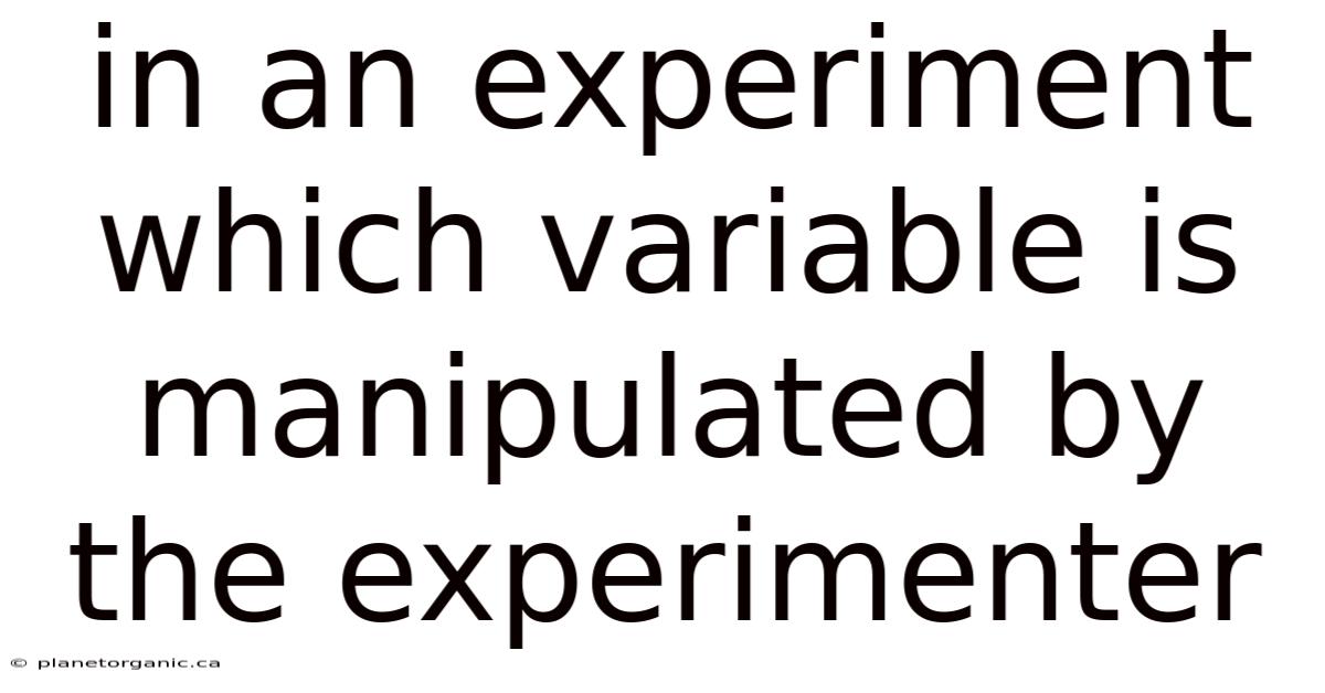 In An Experiment Which Variable Is Manipulated By The Experimenter