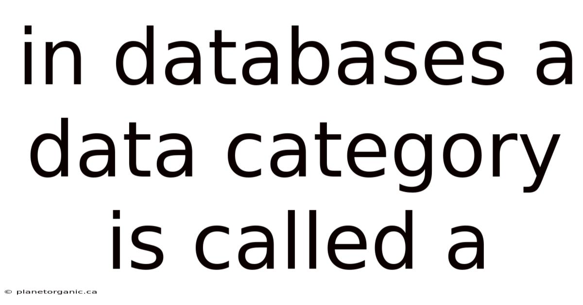 In Databases A Data Category Is Called A