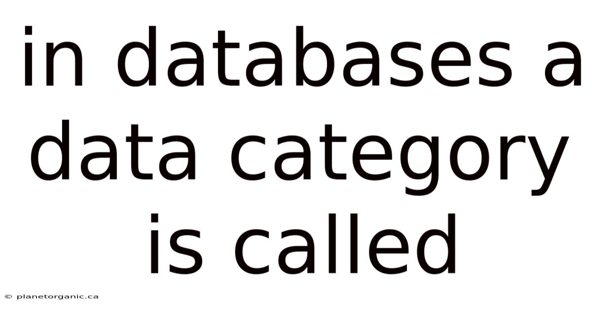 In Databases A Data Category Is Called