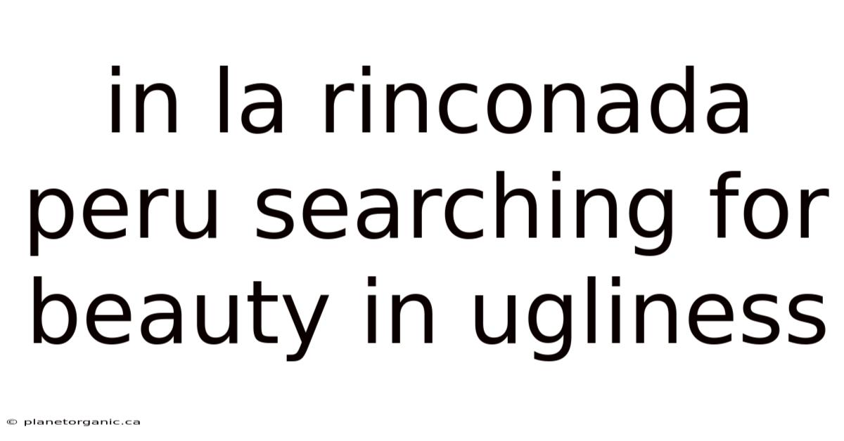 In La Rinconada Peru Searching For Beauty In Ugliness