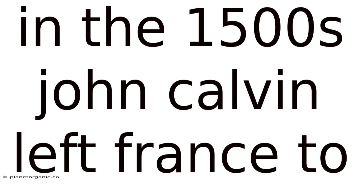 In The 1500s John Calvin Left France To