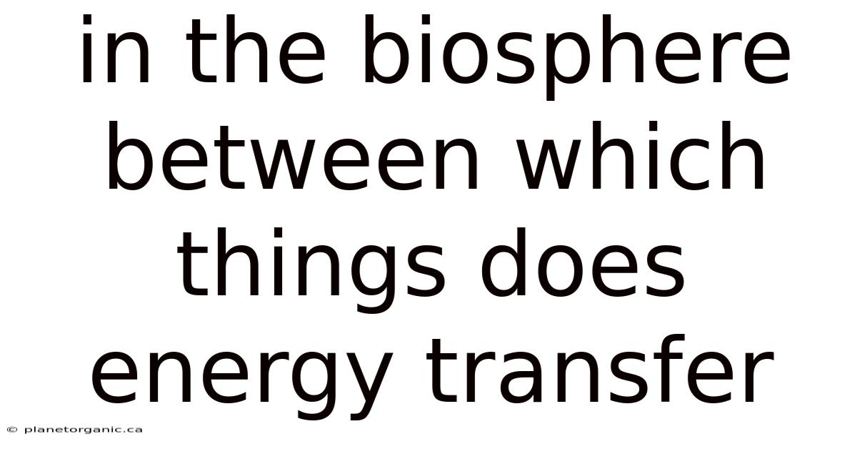In The Biosphere Between Which Things Does Energy Transfer