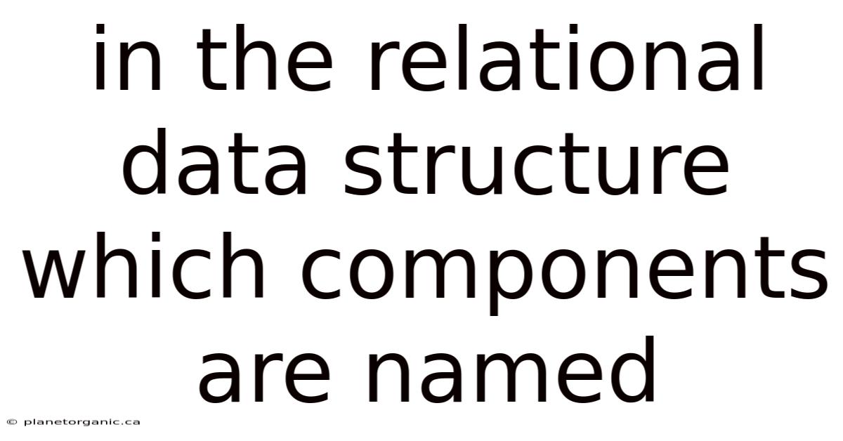 In The Relational Data Structure Which Components Are Named