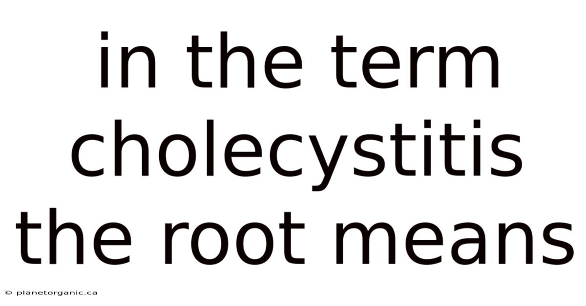 In The Term Cholecystitis The Root Means