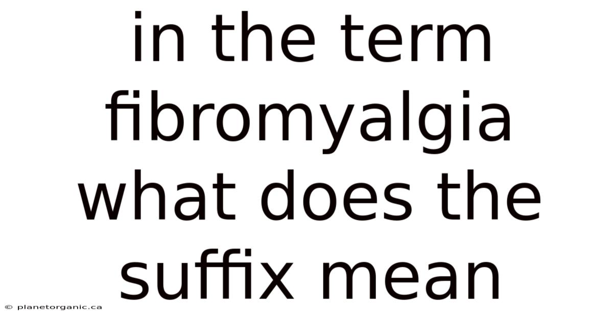 In The Term Fibromyalgia What Does The Suffix Mean