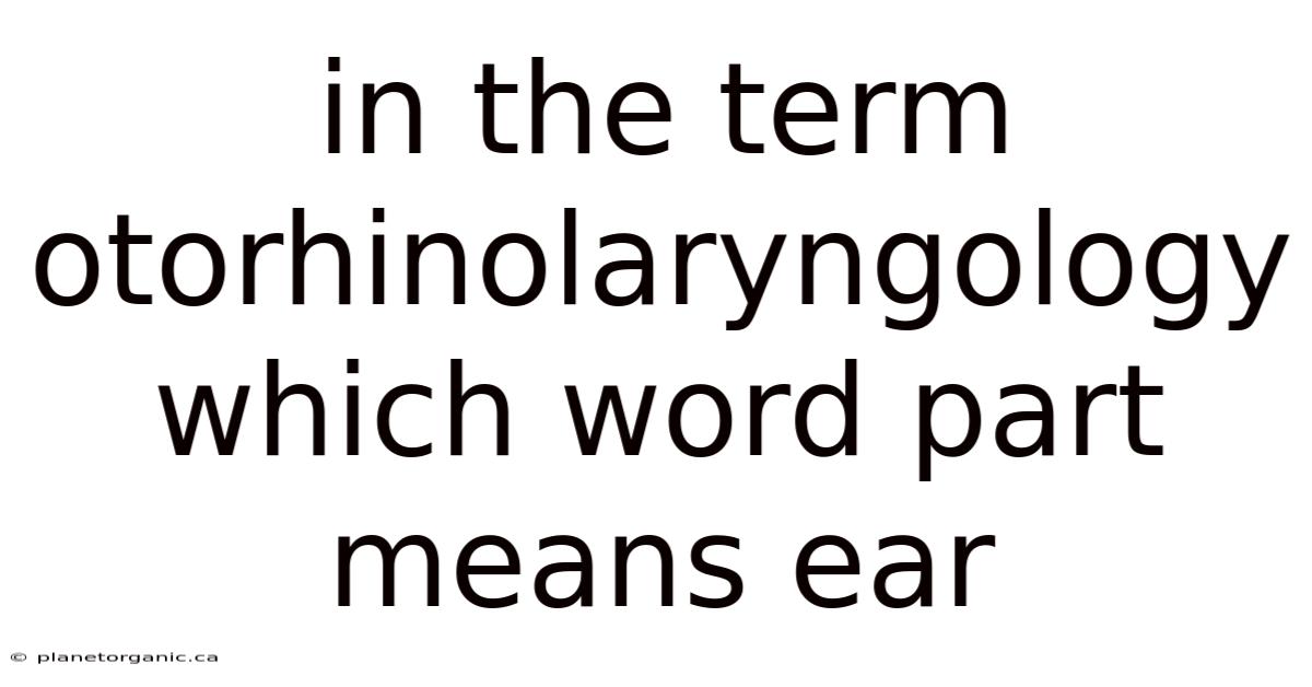 In The Term Otorhinolaryngology Which Word Part Means Ear