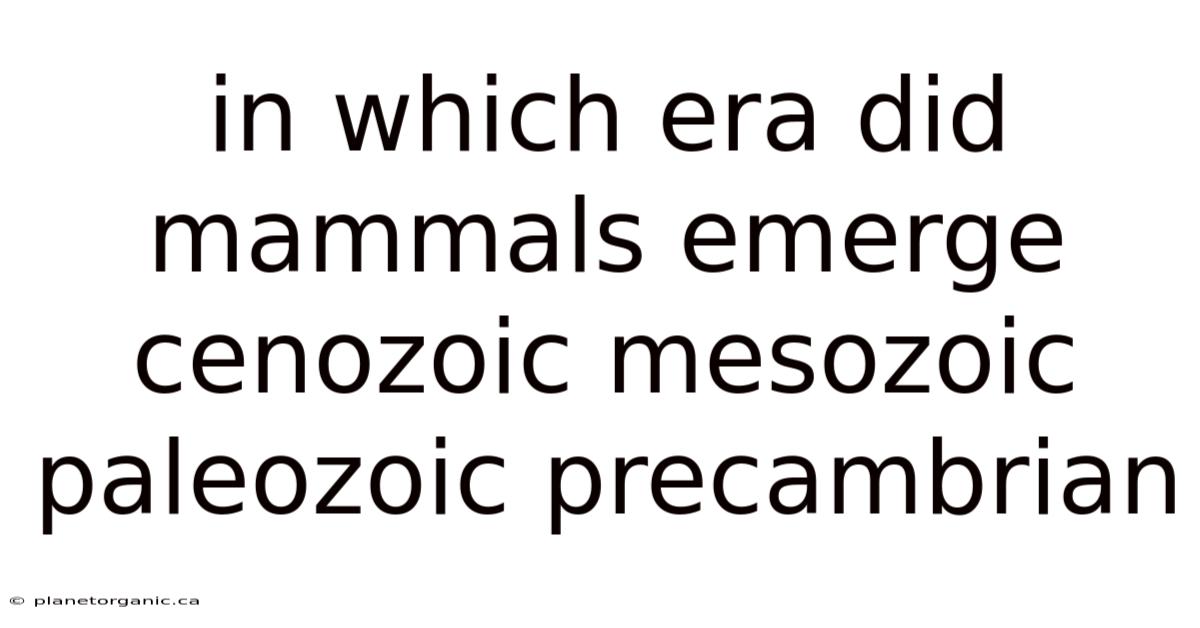 In Which Era Did Mammals Emerge Cenozoic Mesozoic Paleozoic Precambrian