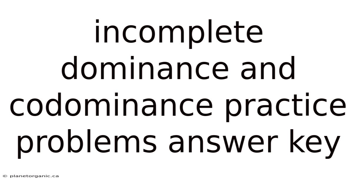 Incomplete Dominance And Codominance Practice Problems Answer Key