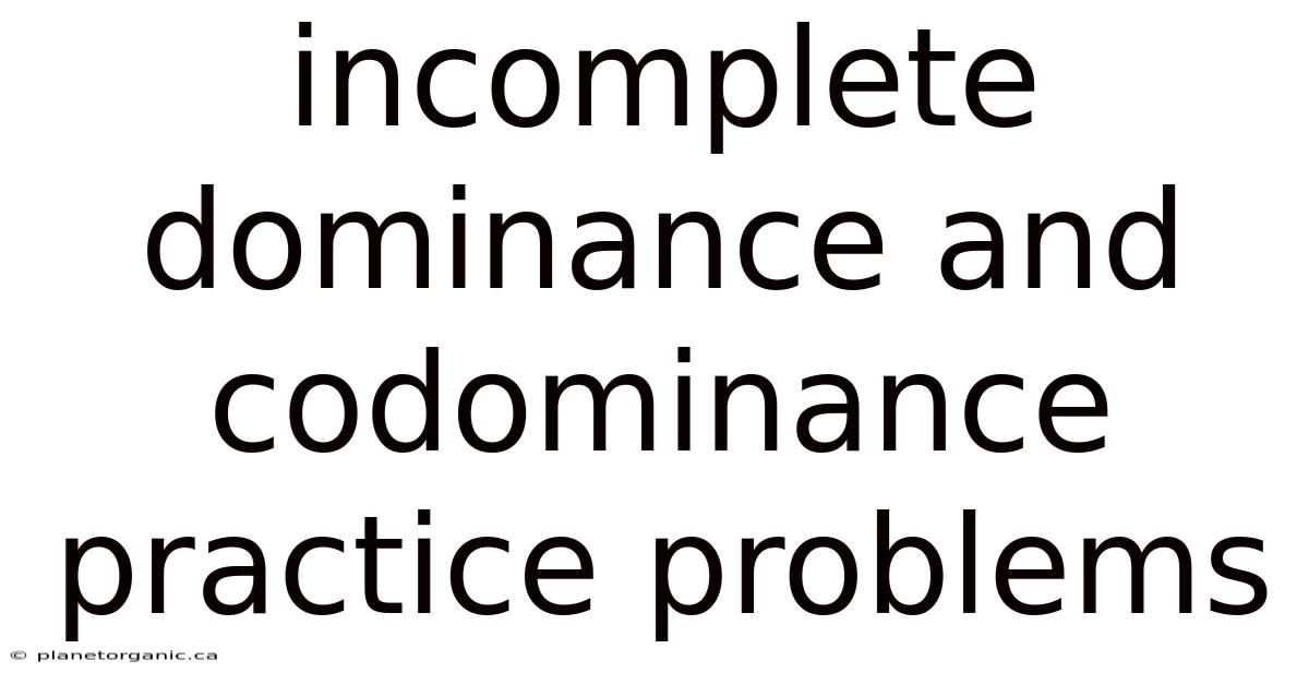 Incomplete Dominance And Codominance Practice Problems