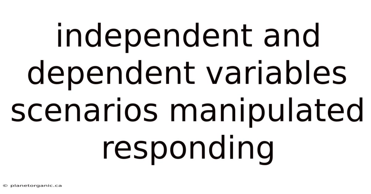 Independent And Dependent Variables Scenarios Manipulated Responding