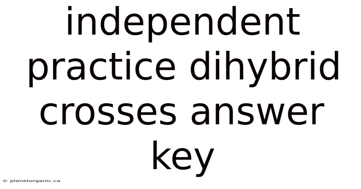 Independent Practice Dihybrid Crosses Answer Key