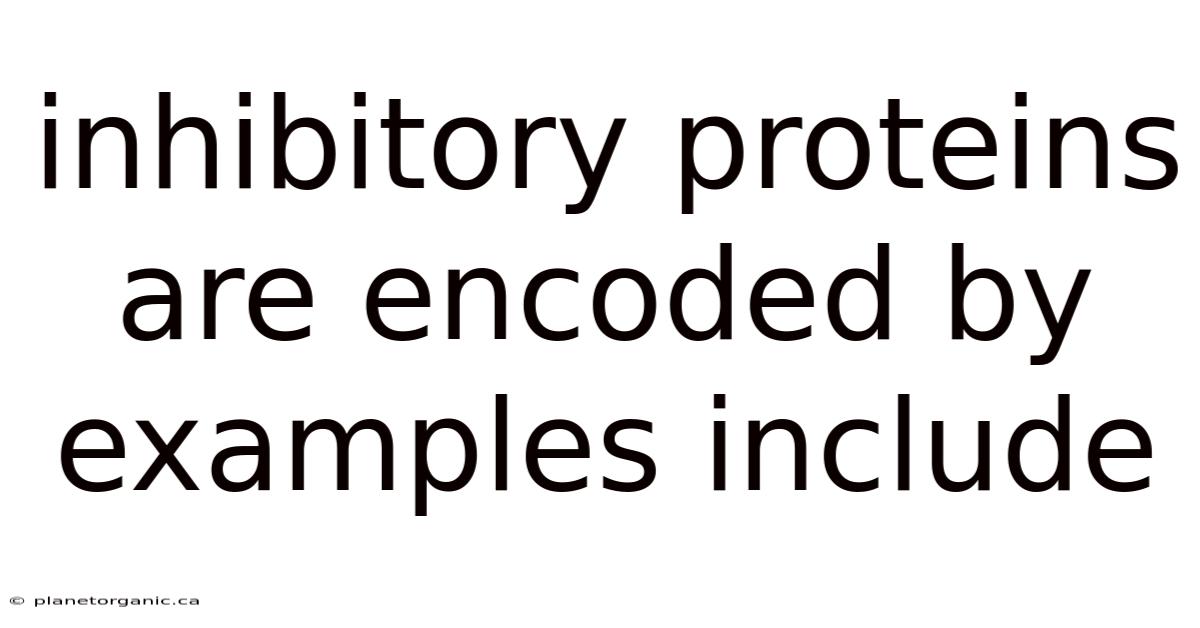 Inhibitory Proteins Are Encoded By Examples Include