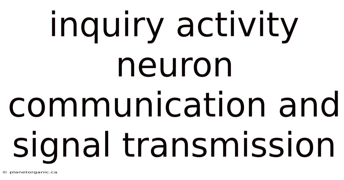 Inquiry Activity Neuron Communication And Signal Transmission
