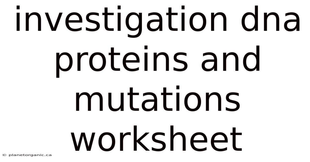 Investigation Dna Proteins And Mutations Worksheet