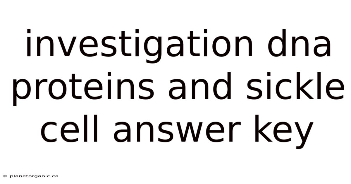 Investigation Dna Proteins And Sickle Cell Answer Key
