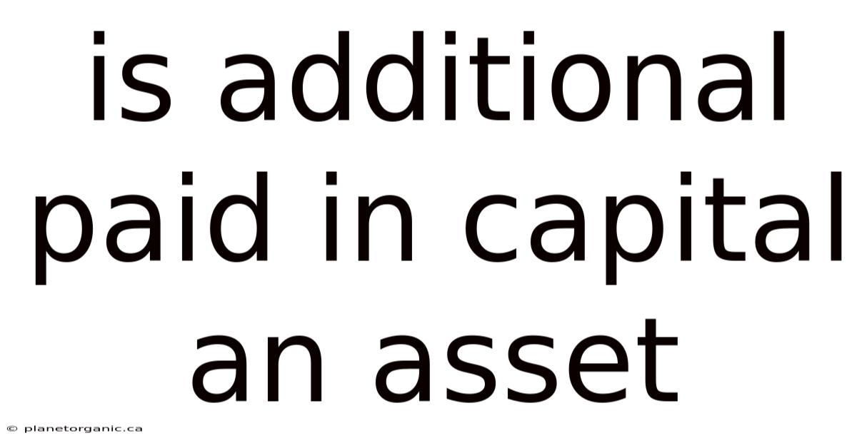 Is Additional Paid In Capital An Asset