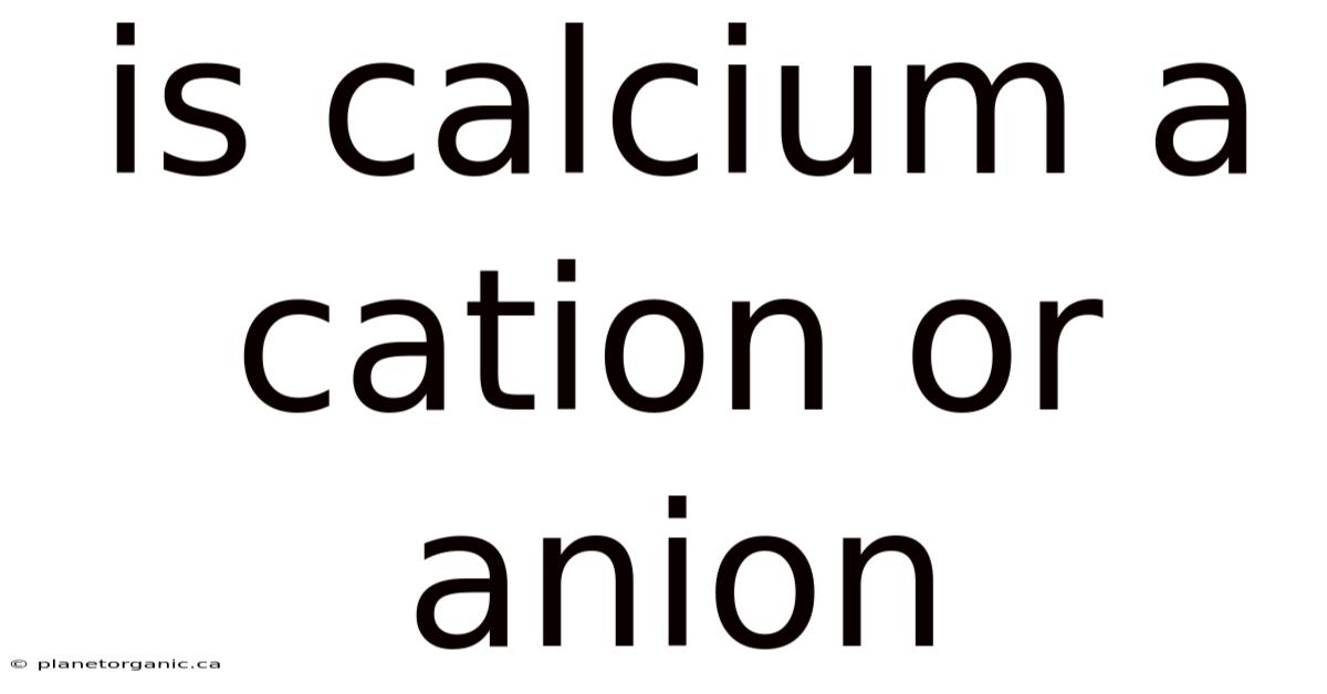Is Calcium A Cation Or Anion