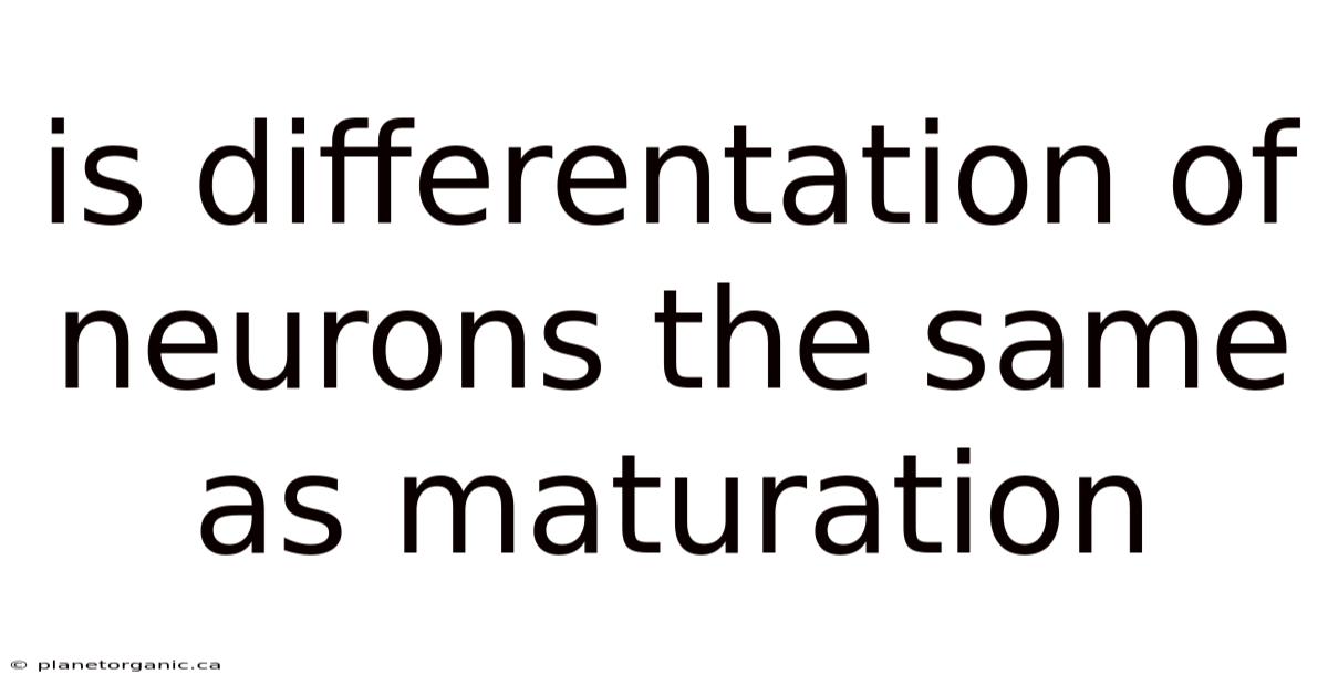 Is Differentation Of Neurons The Same As Maturation