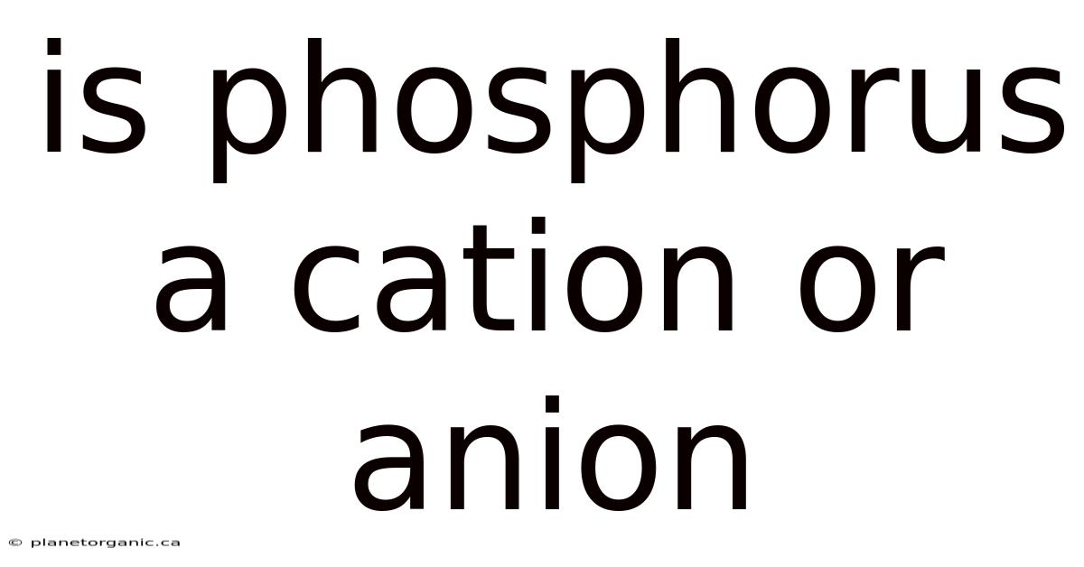 Is Phosphorus A Cation Or Anion